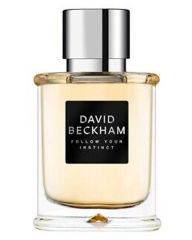 David Beckham Follow Your Instinct EDT
