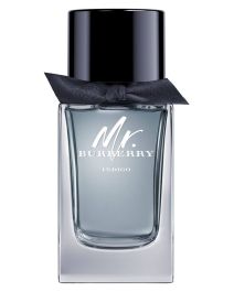 Burberry Mr Burberry Indigo EDT 100ml