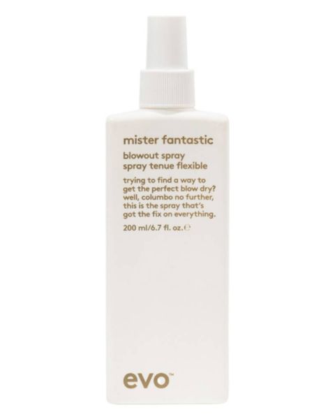 Evo Mister Fantastic Blowout Spray